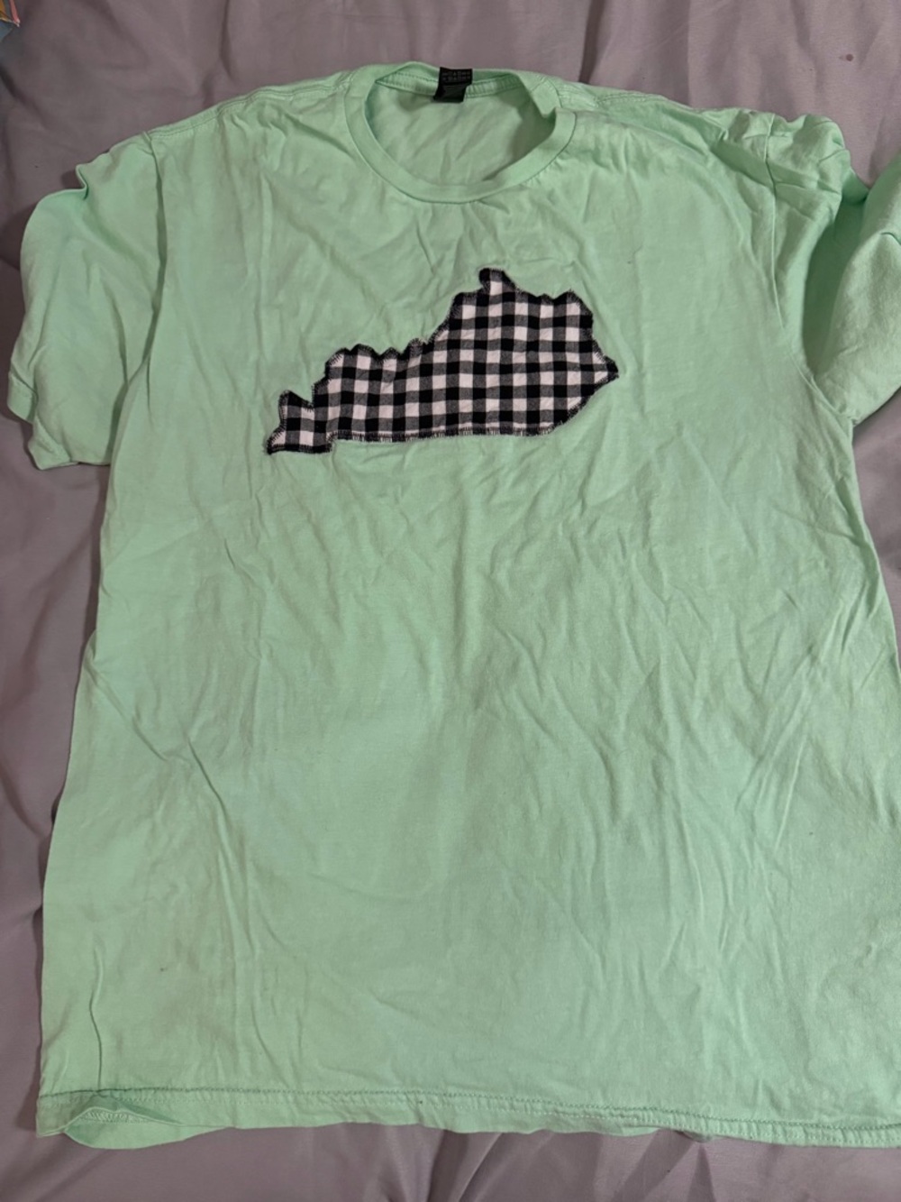 Mint Green Tee with Black Gingham State Patch